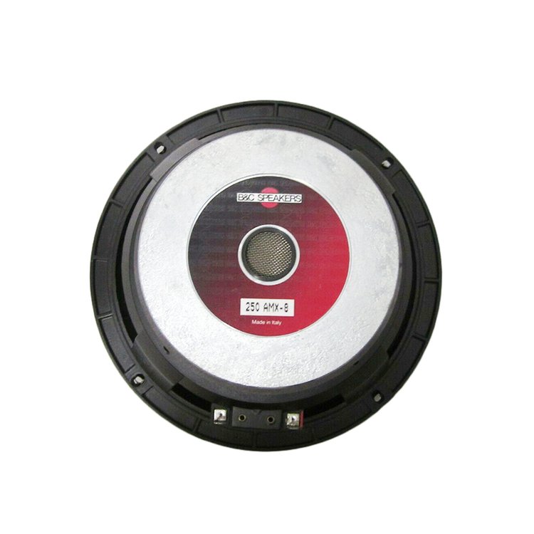 B&C 250 AMX-8, 10" Woofer