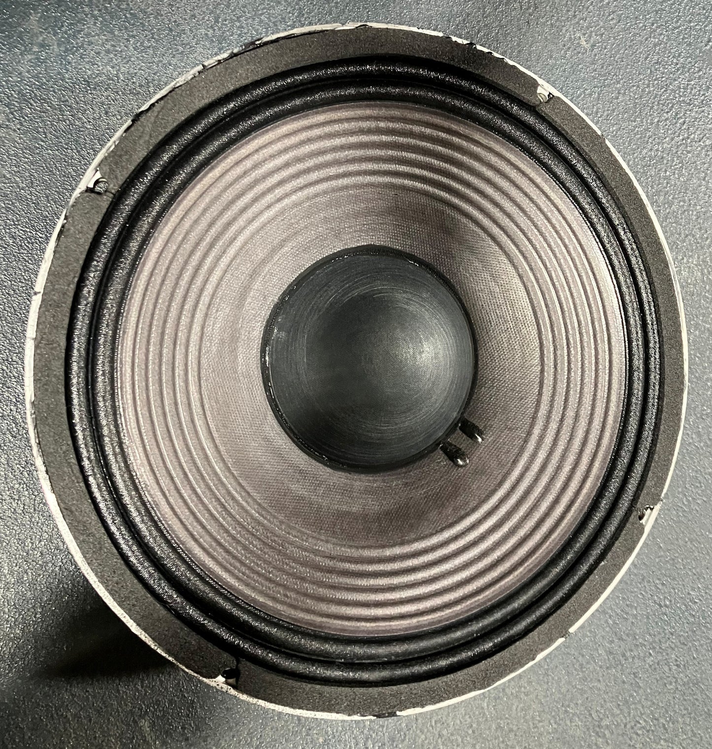 JBL 2204H 12" Low Frequency Loudspeaker