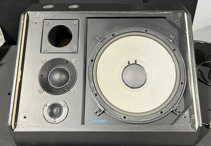 Pair of Clair Brothers LP-3315 Monitors,  Clair Brothers LP-3315 Monitor, Clair Brothers LP-3315 Stage Monitor, LP3315, Clair LP-3315. We Sell Professional Audio Equipment. Audio Systems, Amplifiers, Consoles, Mixers, Electronics, Entertainment, Live Sound.